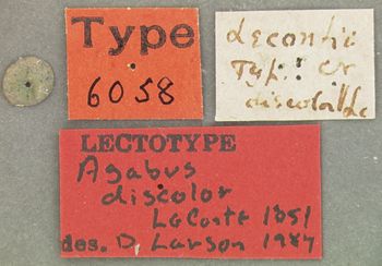 Media type: image;   Entomology 6058 Aspect: labels
